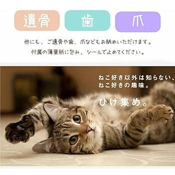 Amazon | 「MEMOKP」猫のひげケース ヒゲ入れ保存ケース 髭 猫の